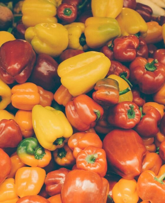 Transformation Artisanale