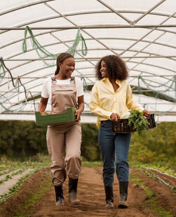 Récolte Sélectionnée